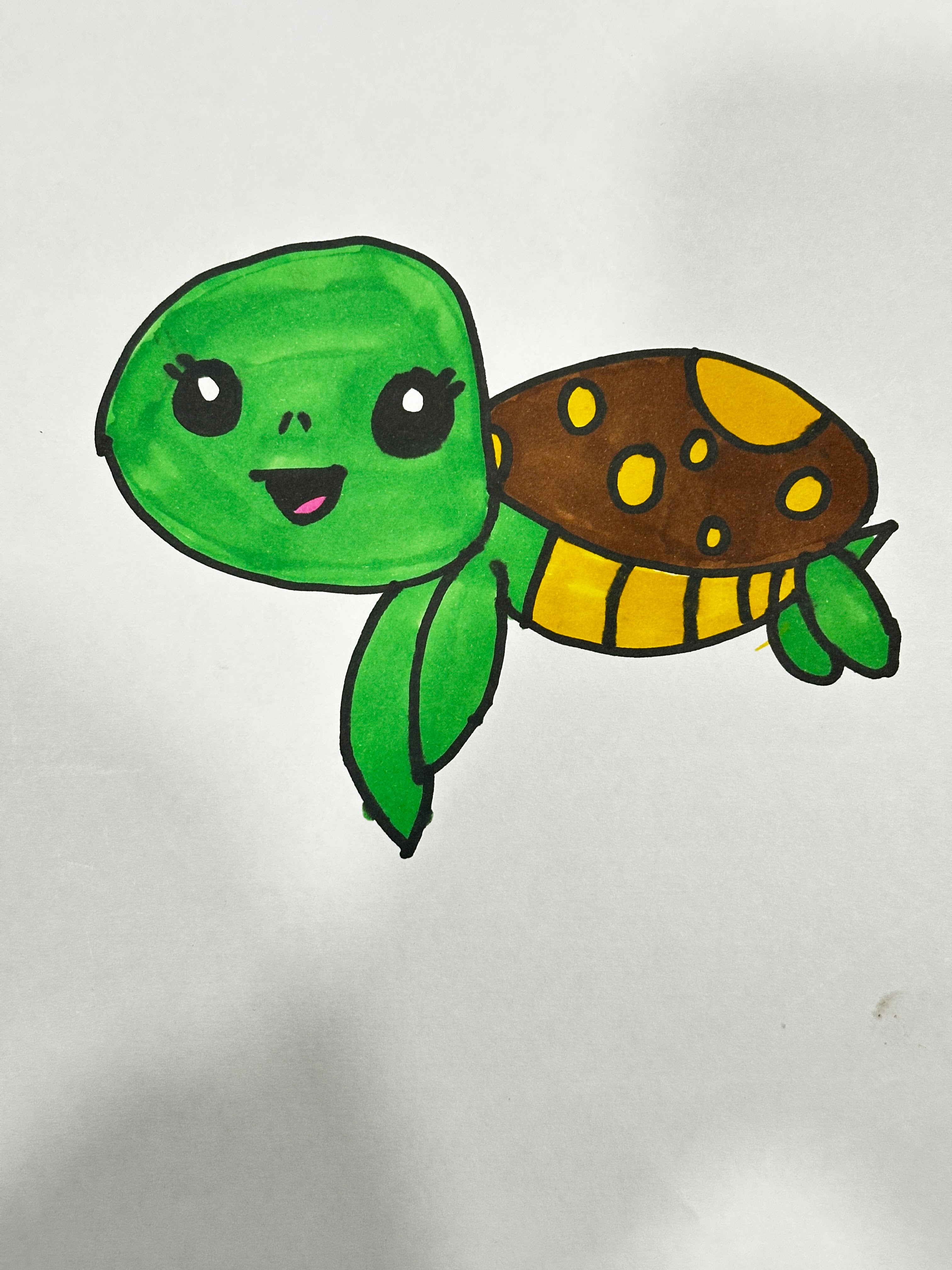 Turtle